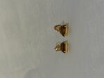 Gold Brown Earrings (PTE017G)
