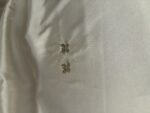 Silver Cubic Zirconia Bow Stud Earrings (PTE012S) - Image 4