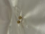 Gold With Black Onyx Stud Earrings  (PTE006BG) - Image 3