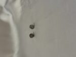 Silver Round Studd Earrings (PTE014S)